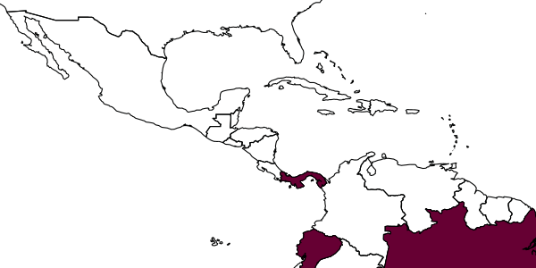 map of Anisepyris franciscanus     Evans, 1966